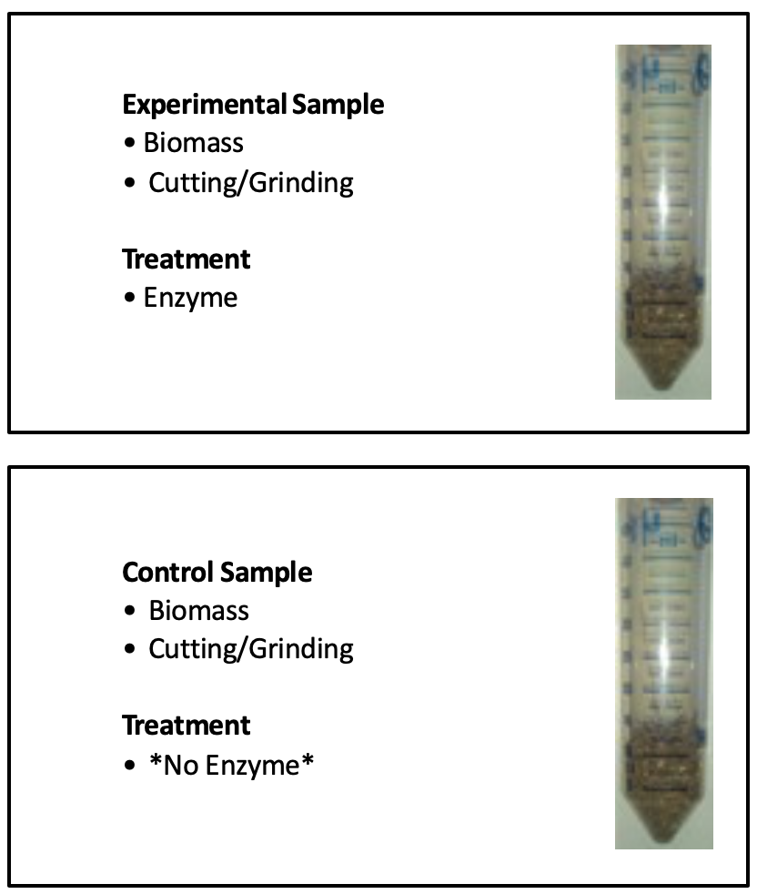 Photo of tubes with a substance filling about a third.  One is labeled as the experimental sample, the other as the control 