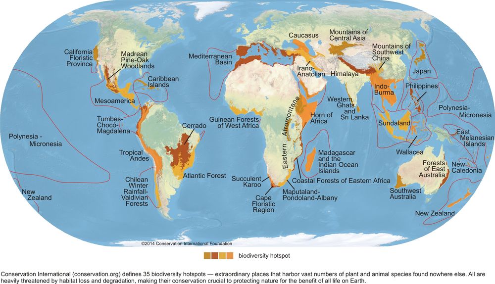Biodiversity_Hotspots_Map.jpg