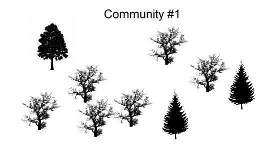 Tree community #1