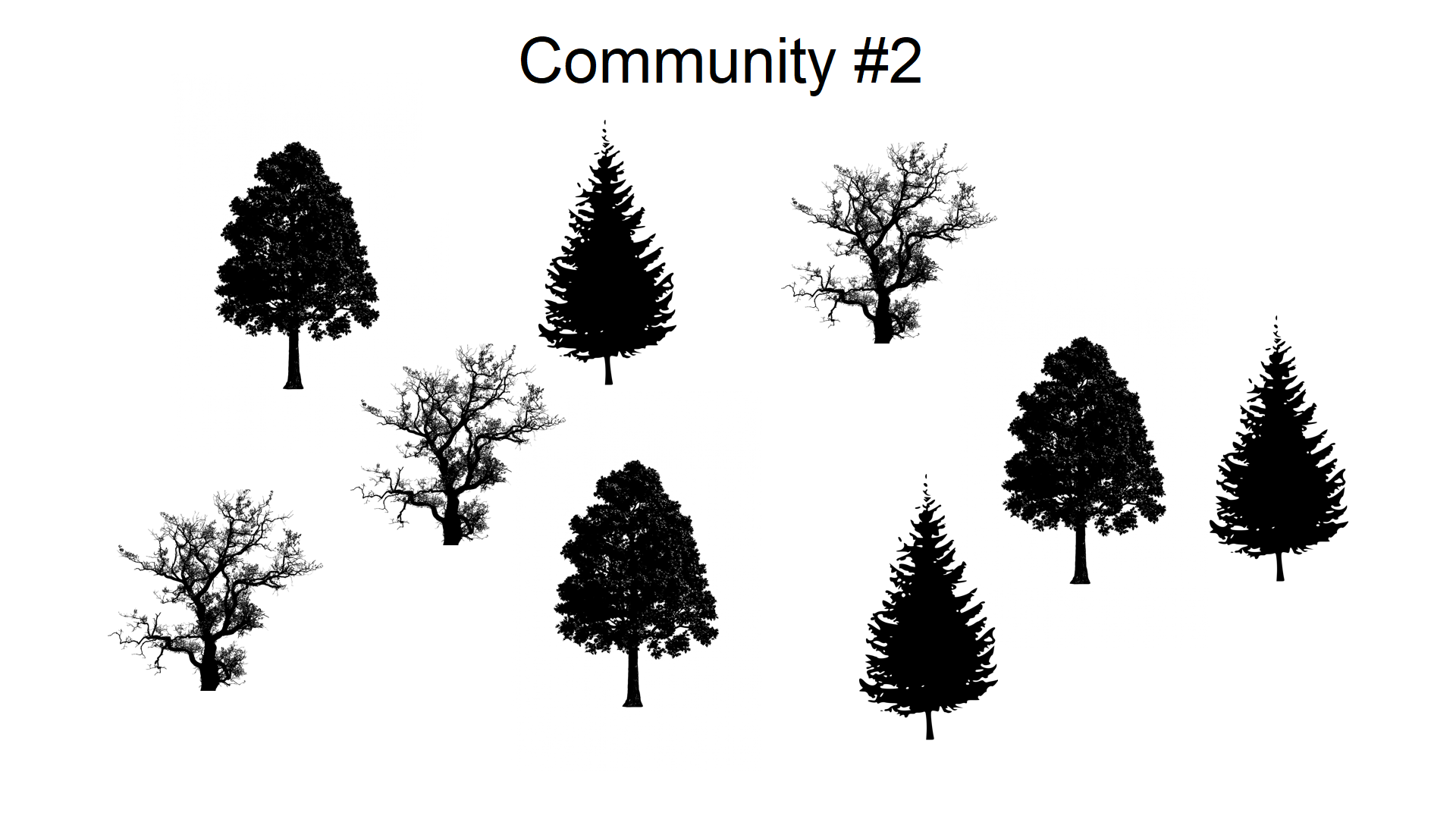 Tree community #2 has three individuals each for the irregularly branching species, the species with densely packed leaves, and the conifer species.