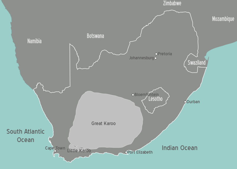 Un mapa de Sudáfrica, El Karoo abarca gran parte de la región sur, centro del país.