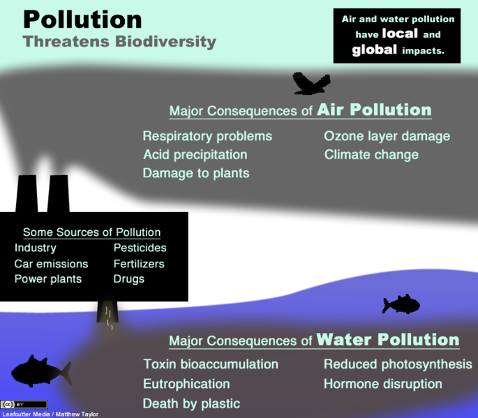 Representations of a factory generating air pollution and water pollution, which enters a body of water containing fish.