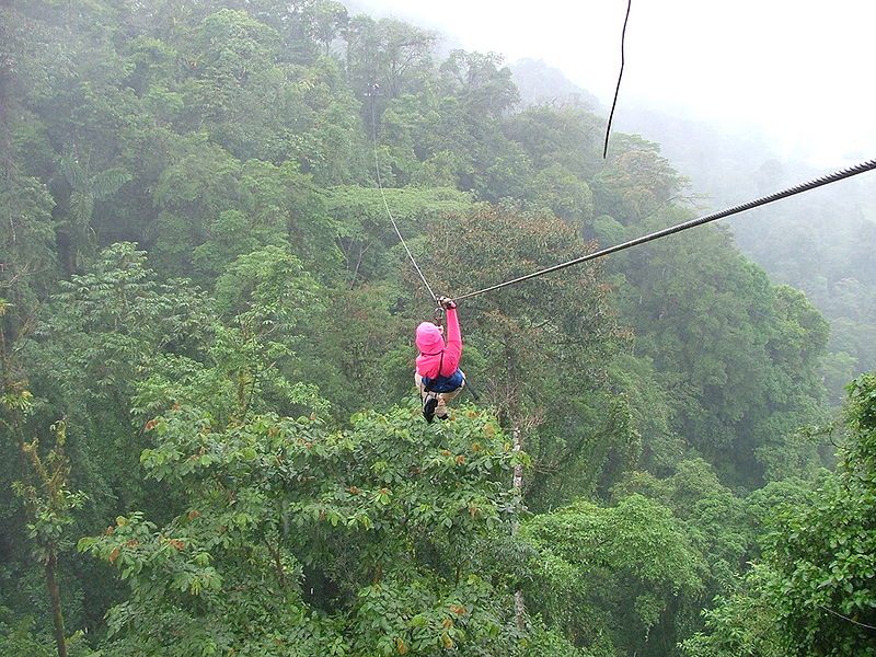 A tourist riding a zipline over the dense rainforest canopy, which consists of any tree species. The distant background appears faint due to fog.