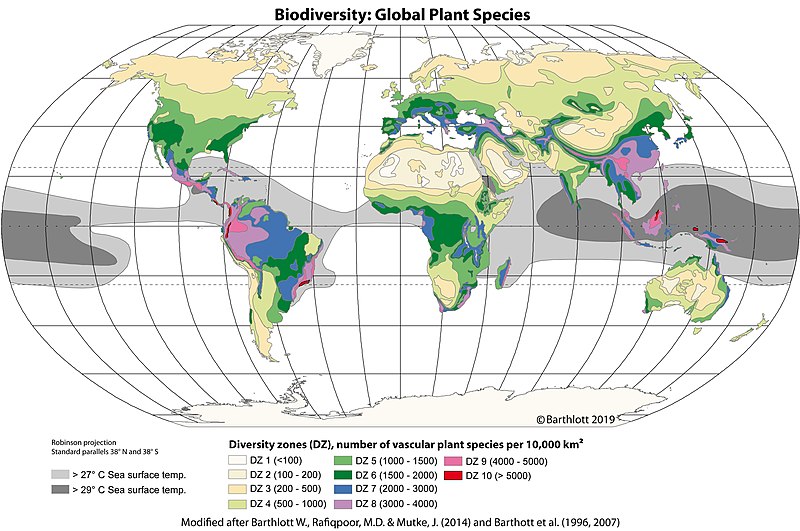 World map indicating the vascular plant species richness per 10,000 square km. Richness is highest at the equator and declines towards the poles.