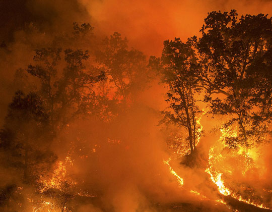 A wildfire in a California forest.
