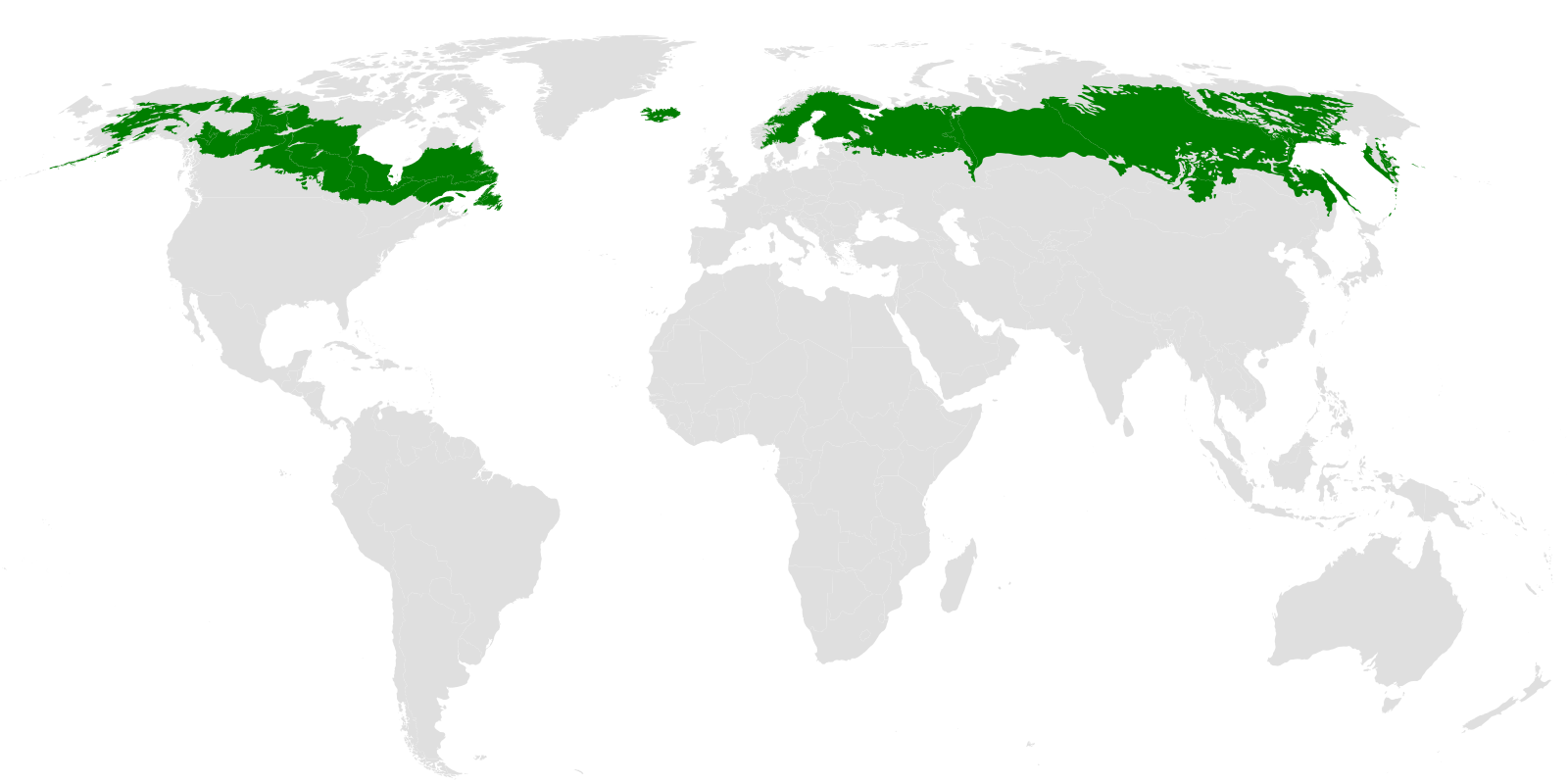 Sombreado del mapa del mundo donde se ubica el bioma tiaga (partes del norte de: Canadá, Alaska, Europa, Islandia y Rusia)