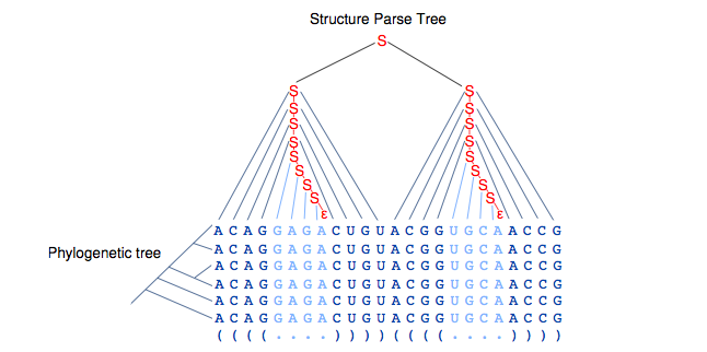 Structure Parse Tree.png