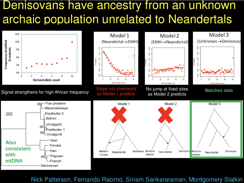 Denisovans have ancestry from an unknown.png