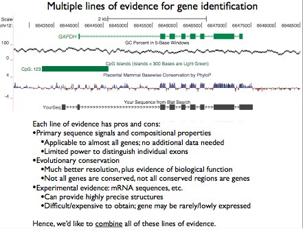 Multiple lines of evidence for gene identification.png