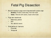 Thumbnail for the embedded element "Fetal Pig Dissection"