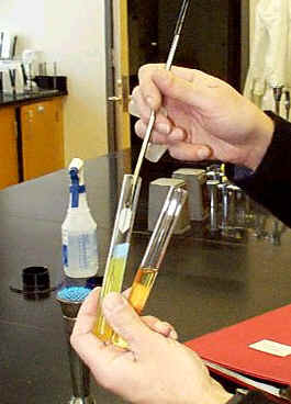 A loop is used to remove a sample from an agar slant.