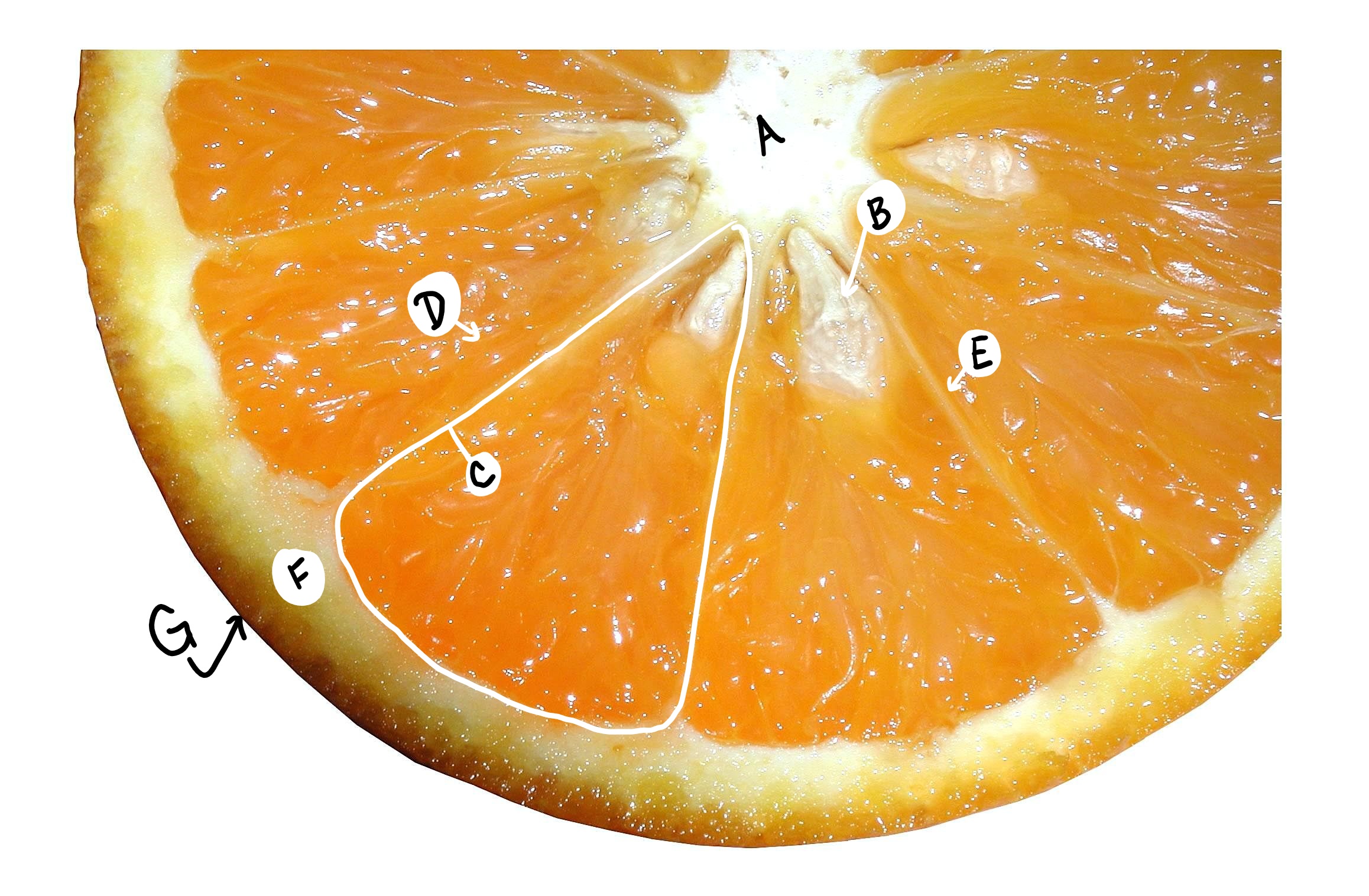 Una sección transversal de una naranja
