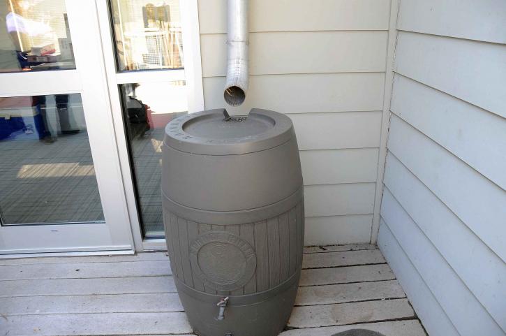 A plastic rain barrel with a faucet collects rain from the drainage spout of a house.
