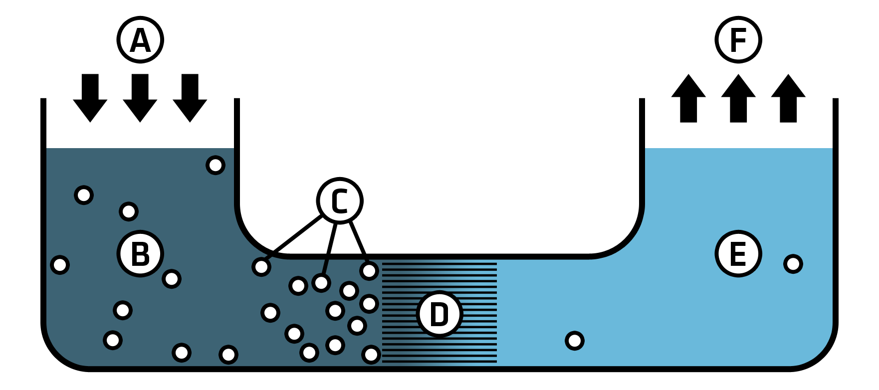 Reverse osmosis diagrammed by a U-shaped tube with contaminated water on the left, a membrane in the center, and clean water on the right.