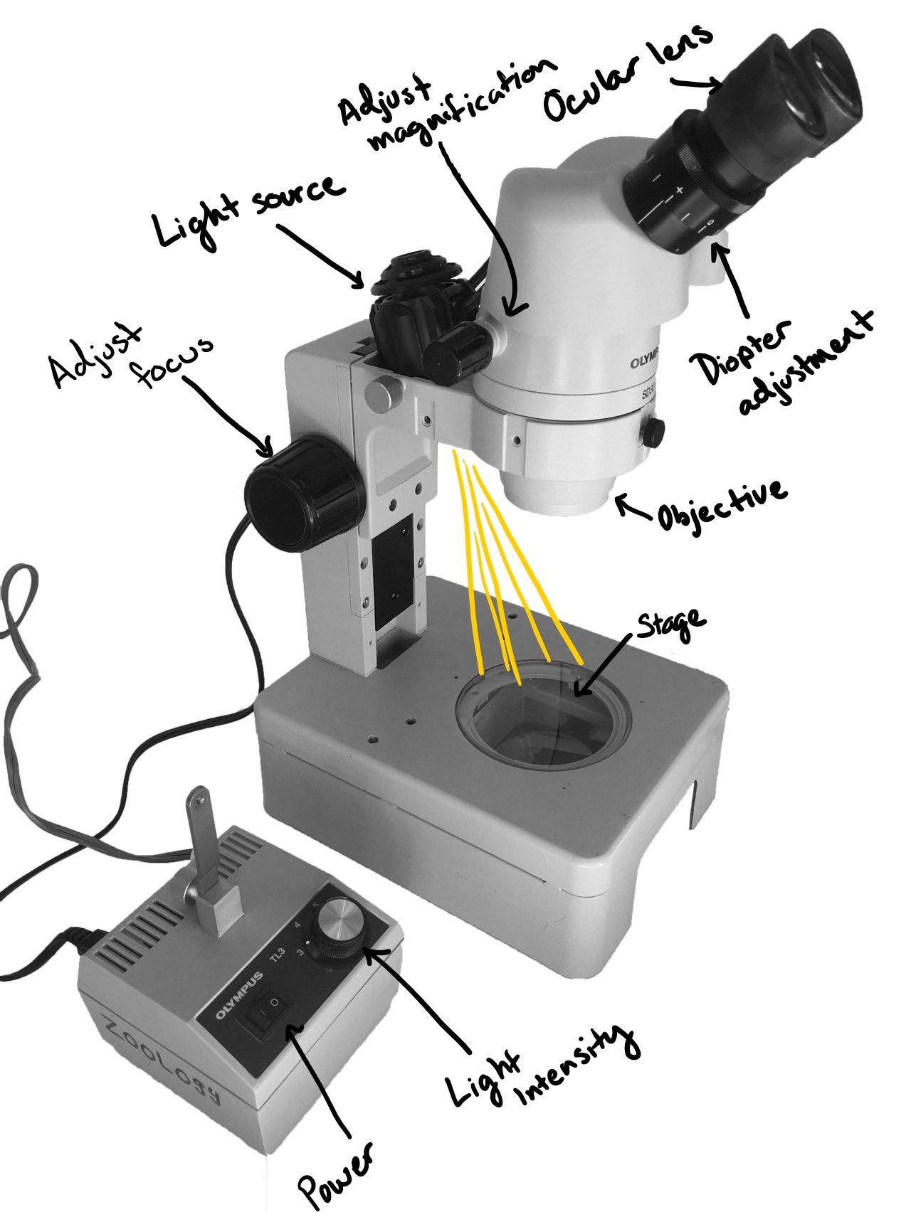 9: Introduction to Microscopy