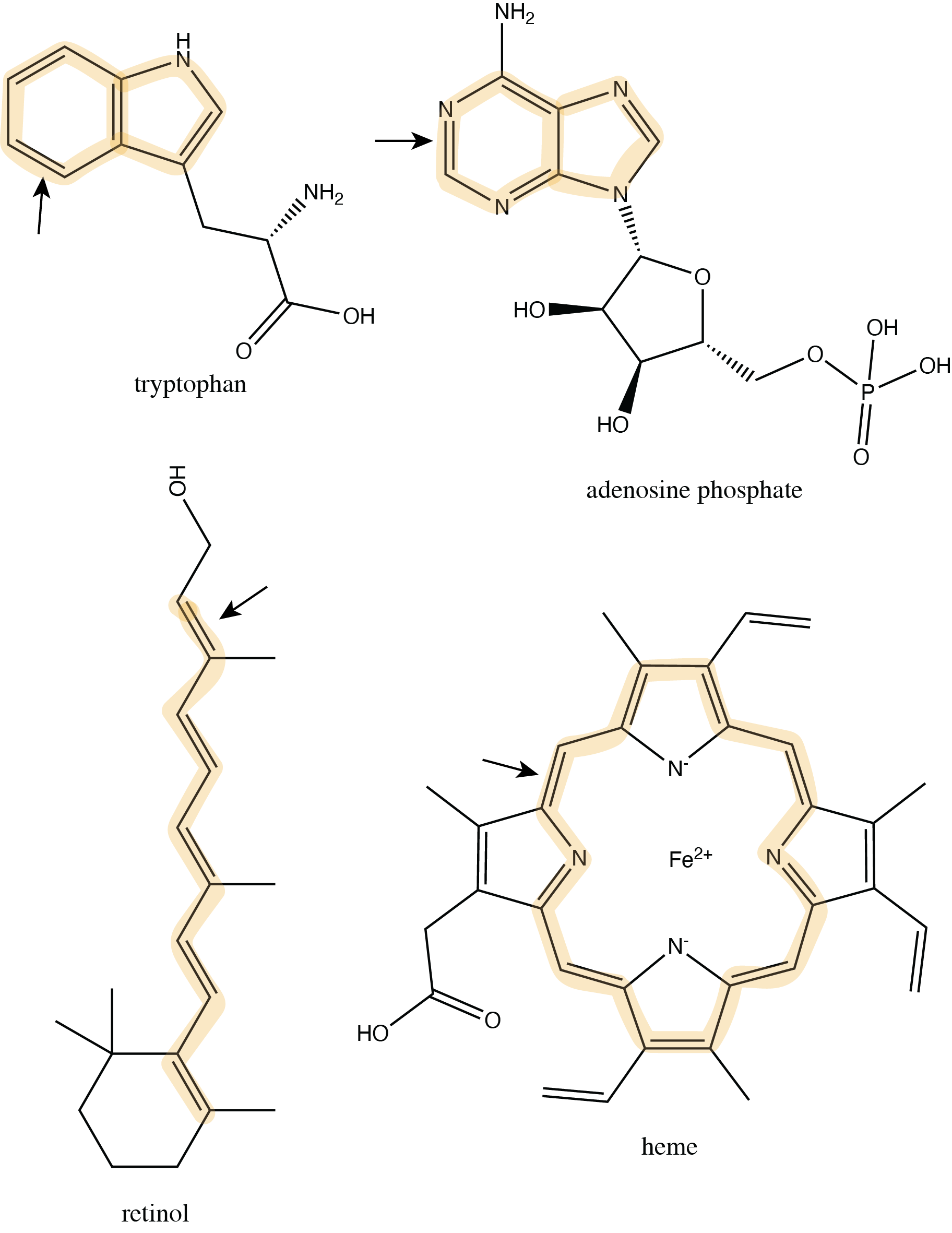 molecules_with_pi2.png