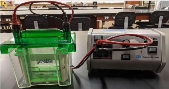 photo of the equipment needed to run an SDS-PAGE gel. The buffer chamber with electrodes that are hooked to the power supply.