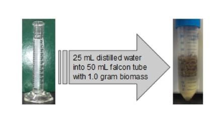 photo of a graduated cylinder, an arrow,text. Reads 25mL distilled water into 50mL tube with 1.0gm biomass. The arrow points at a tube with a substance in it.