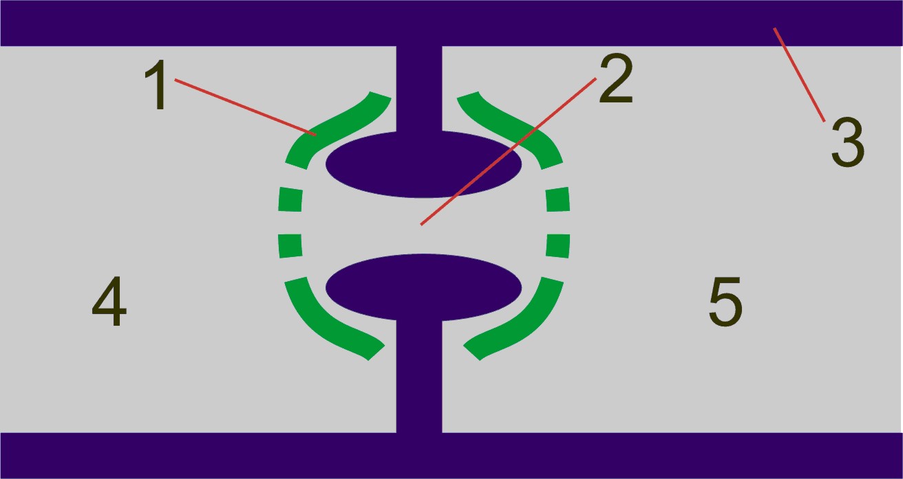 Diagrama de un tabique de doliporo