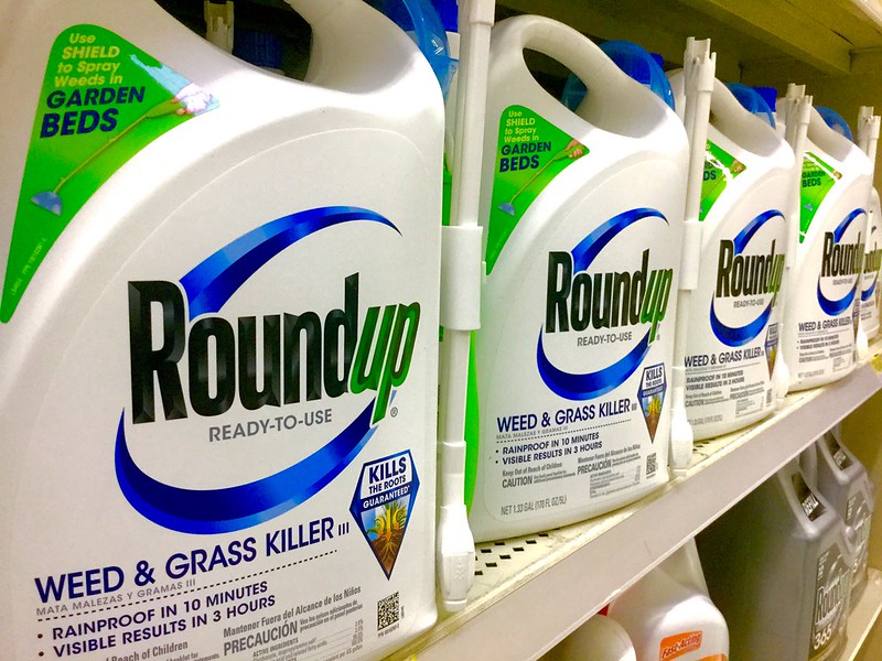 Jugs of Roundup weed and grass killer on a store shelf