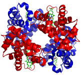 3: Details of Protein Structure