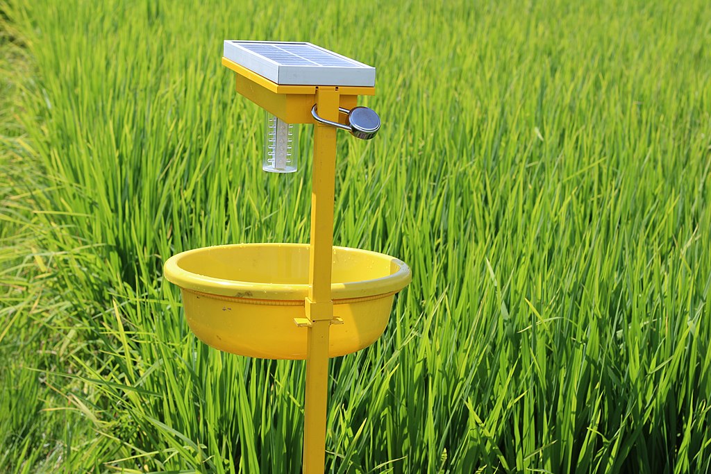A solar insect trap is a yellow bowl-shaped dish supported by a post. Above the dish is a LED UV light with a solar panel. 