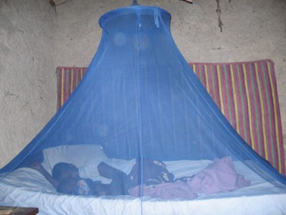 Children sleep enclosed in a blue mosquito net.