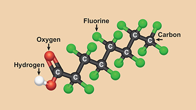 Perfluorooctanoic acid is a chain of eight carbons and containing many fluorine atoms
