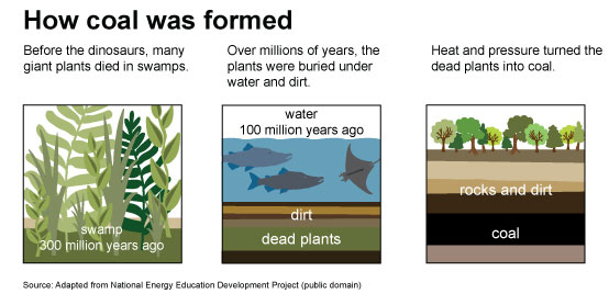 The process of coal formation in three steps, showing burial of swamp vegetation
