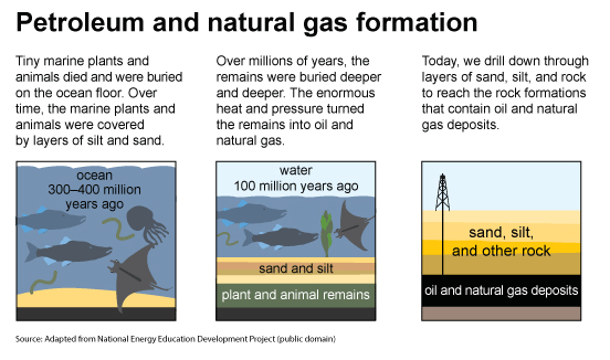 The formation of petroleum and natural gas in three steps. Marine microorganisms were buried and exposed to high heat and pressure.