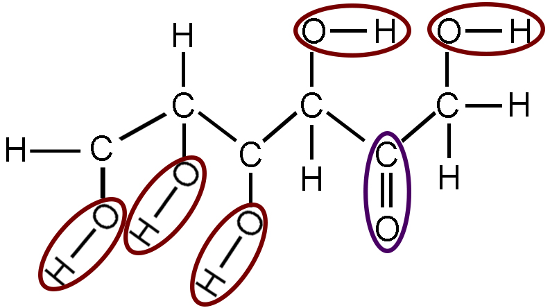 The same diagram of fructose as above. Each oxygen bound to a hydrogen has been circled in red. These are the hydroxyl groups. The carbon double bound to an oxygen atom has been circled in purple. This is a carbonyl group.