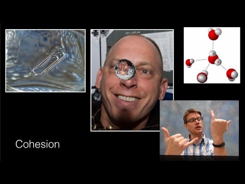 Thumbnail for the embedded element "Water: A Polar Molecule"