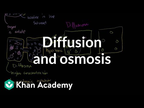 Thumbnail for the embedded element "Diffusion and osmosis | Membranes and transport | Biology | Khan Academy"