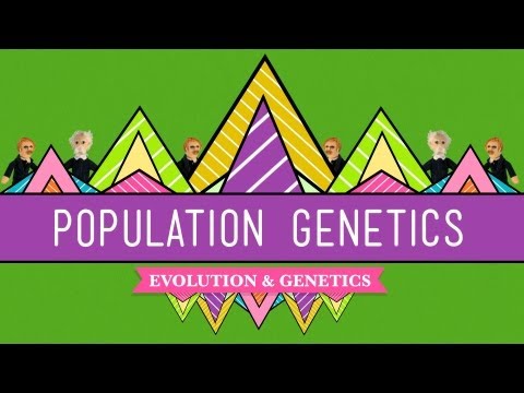 Thumbnail for the embedded element "Population Genetics: When Darwin Met Mendel - Crash Course Biology #18"
