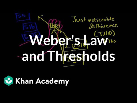 Thumbnail for the embedded element "Weber's law and thresholds | Processing the Environment | MCAT | Khan Academy"