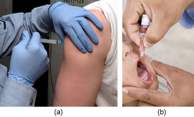 Photo A shows a person receiving an injection in the arm. Photo B shows a child receiving an oral vaccination from a dropper.