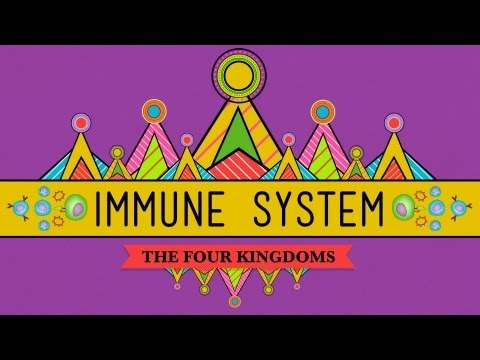 Thumbnail for the embedded element "Your Immune System: Natural Born Killer - Crash Course Biology #32"