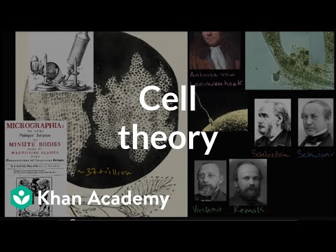 Thumbnail for the embedded element "Cell theory | Structure of a cell | Biology | Khan Academy"