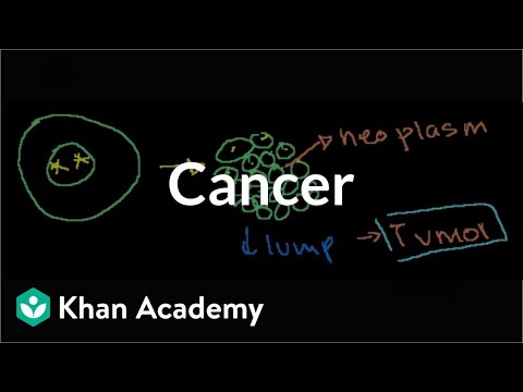 Thumbnail for the embedded element "Cancer | Cells | MCAT | Khan Academy"
