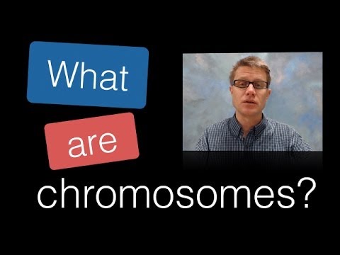 Thumbnail for the embedded element "What are Chromosomes?"