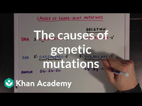 Thumbnail for the embedded element "The causes of genetic mutations | Biomolecules | MCAT | Khan Academy"
