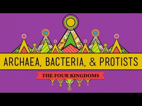 Thumbnail for the embedded element "Old & Odd: Archaea, Bacteria & Protists - CrashCourse Biology #35"