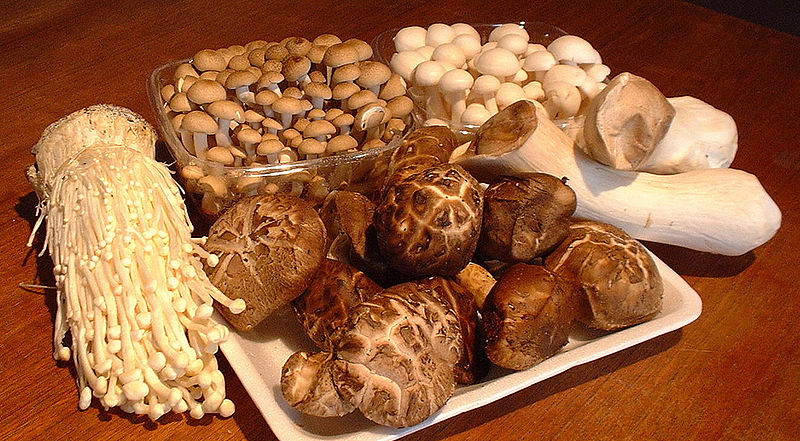 Five varieties of mushrooms. Two varieties are prototypical mushrooms: they have bulbs at the top of short, more narrow stems. One variety is long and stringy, with small bulbs at the top of each stem. One variety is squat, with a thick stem and large bulb; the bulb is cracked. The final variety does not appear to have a bulb, but instead is a thick stem.