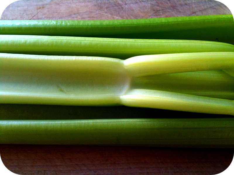 photograph of celery
