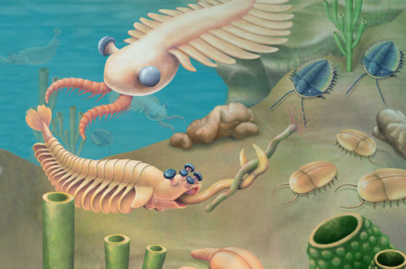 The illustration shows a sea bed abundant with odd organisms, including tube-shaped worms anchored to the sea floor and animals that resemble cockroaches crawling along it. Swimming creatures somewhat resemble modern insects.