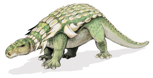 The illustration shows a dinosaur that walks on four legs, has a long tail, and an armored back.