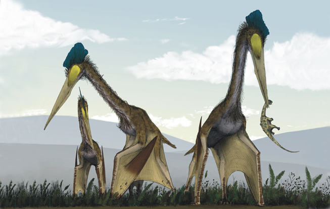 The illustration shows pterosaurs, which resemble large modern birds with long necks, long beaks, and bat-like wings.