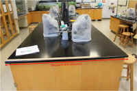 lab_bench_small.jpg