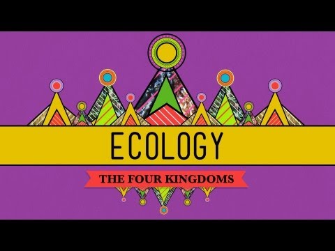 Thumbnail for the embedded element "Ecology - Rules for Living on Earth: Crash Course Biology #40"