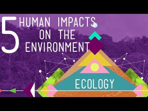 Thumbnail for the embedded element "5 Human Impacts on the Environment: Crash Course Ecology #10"